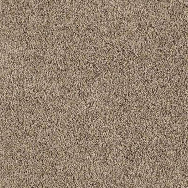 Lifeproof Carpet Sample - Courtlyn II - Color Pebble Path Texture 8 in. x 8 in.