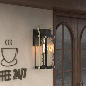 Hawaii 17.3 in. H 1-Light Black Modern Dusk to Dawn Outdoor Hardwired Lantern Sconce with Clear Glass