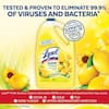lysol-all-purpose-cleaners-36241-75610-4-e1.1