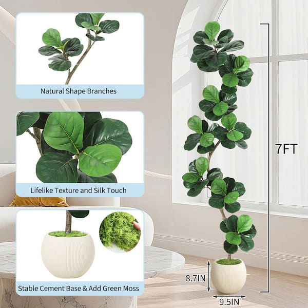 Unbranded 7ft Artificial Fiddle Leaf Fig Tree in White Planter, Faux Plants  Indoor with Moss, Tall Fake Floor Plant for Home Decor HDxsqPHK_34W9GDCD