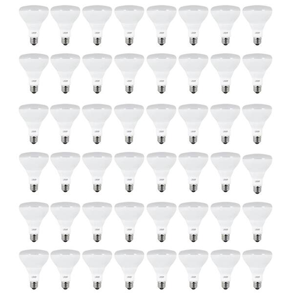 Feit Electric 65W Equivalent Soft White BR30 Dimmable LED Light Bulb Maintenance Pack (48-Pack)