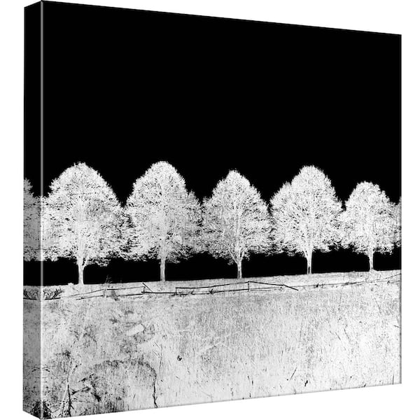 PTM Images 15 in. x 15 in. ''Screened Tree G'' Printed Canvas Wall Art
