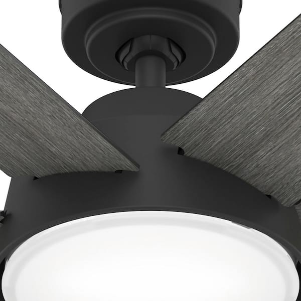Hunter - Donatella 52 in. Integrated LED Indoor Matte Black Ceiling Fan with Light Kit and Remote Included
