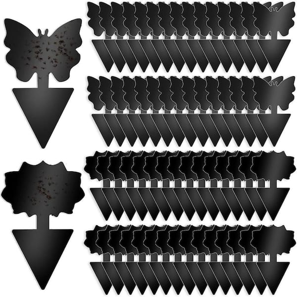 Indoor and Outdoor Fruit Fly Traps (60-Pack)