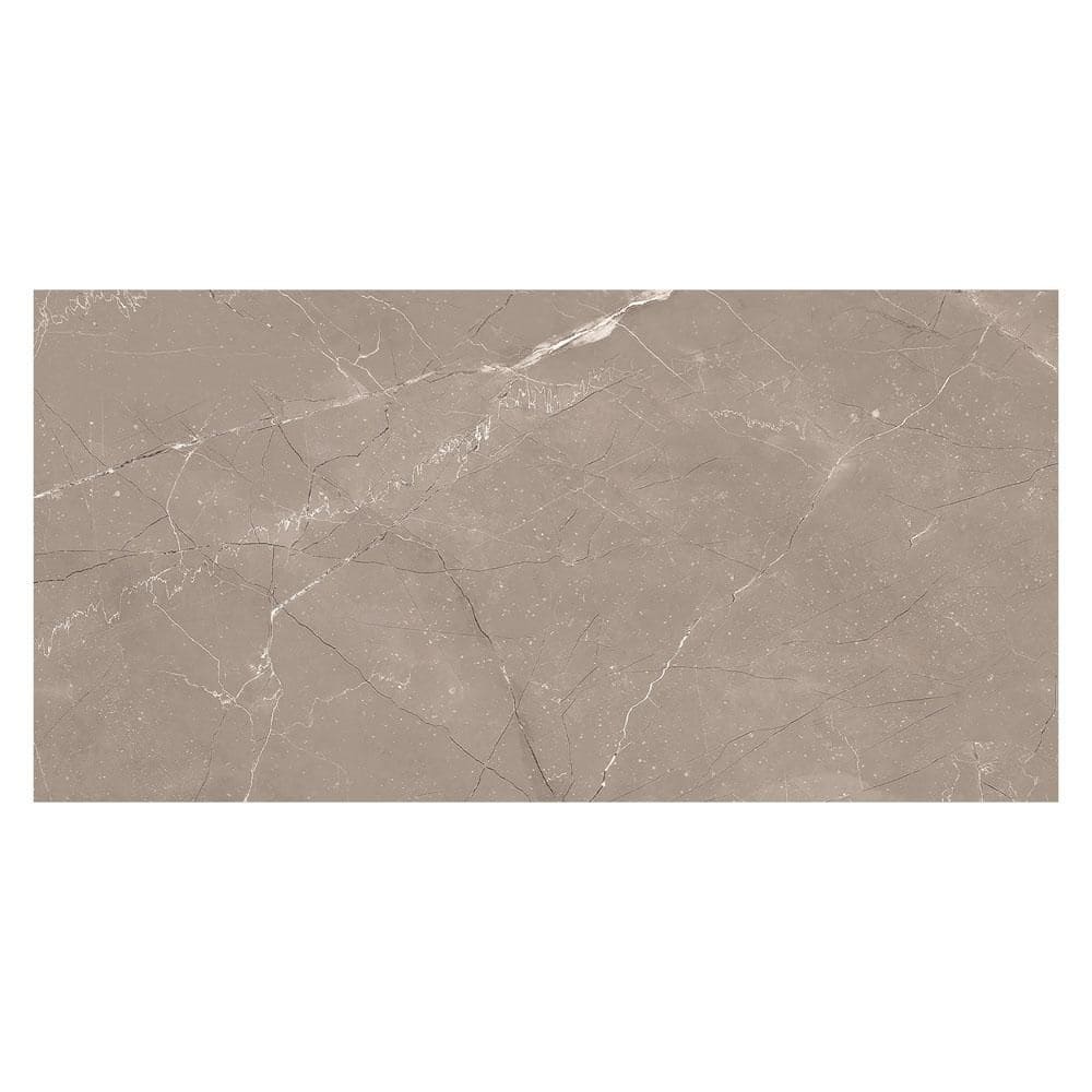 Kaia Zoistra Brown 12 in. x 24 in. Stone Look Matte Porcelain Wall and Floor Tile Sample price history on PriceWatchPro