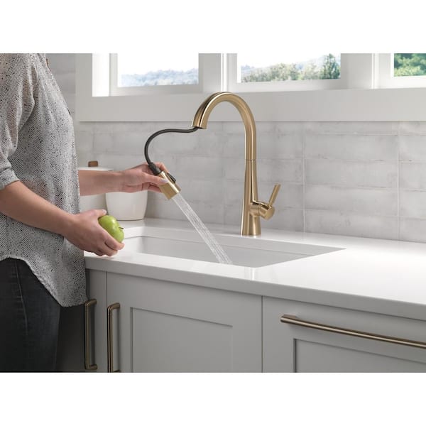 Monrovia Gold Single-Handle Pull Down Sprayer Kitchen Faucet in Lumicoat Champagne Bronze