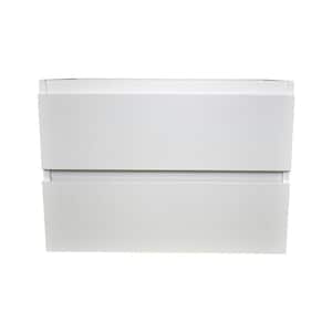 Salt 24 in. W x 20 in. D Bath vanity Cabinet Only Glossy White