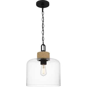 Waelyn 1-Light Matte Black Clear Glass and Rope Shaded Pendant