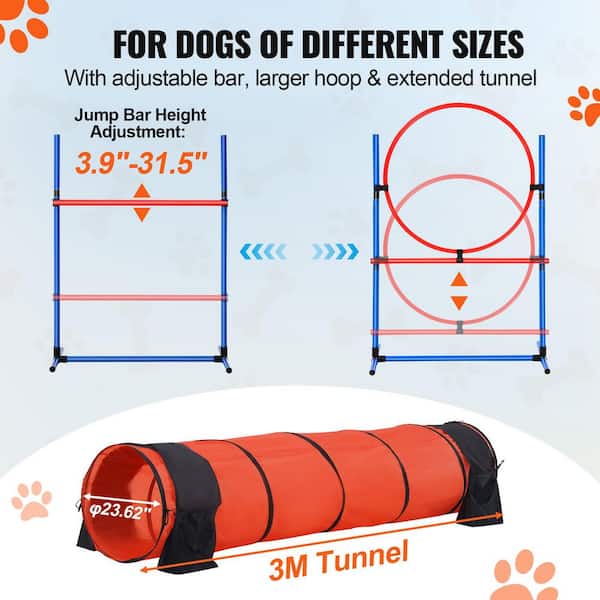 ●LOTONE & J-DOG Zmiley No-Pull Dog Harness - Adjustable, 3 Sizes - Zee.Dog