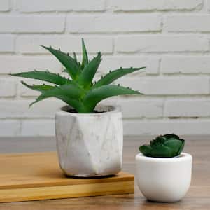 6 in. Artificial Potted Aloe Succulent in Cement Pot