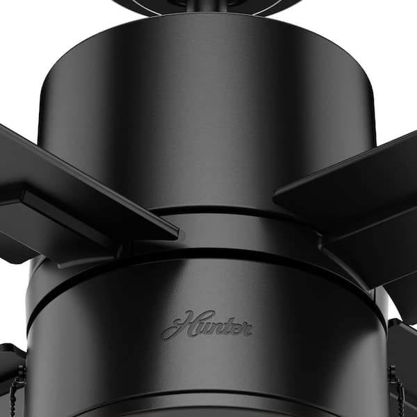 Hunter - Beck 42 in. LED Indoor Matte Black Ceiling Fan with Light