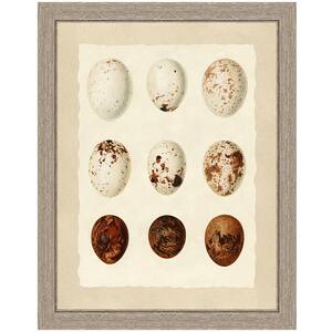 "Birds' eggs I" Framed Archival Paper Wall Art (24 in. x 28 in. in full size)