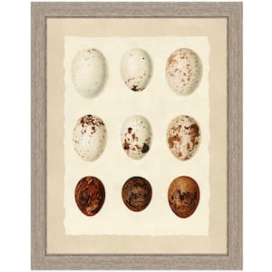 "Birds' eggs I" Framed Archival Paper Wall Art (26 in. x 32 in. in full size)