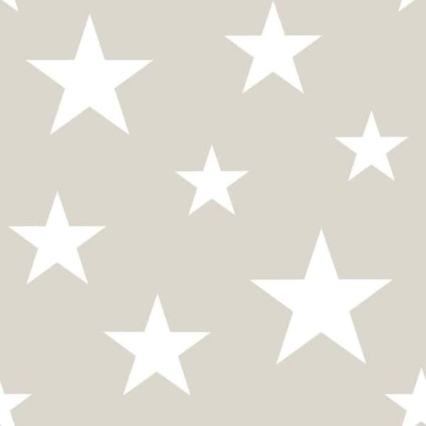 Chesapeake Brown Amira Stars Matte Non-Pasted Wallpaper Sample