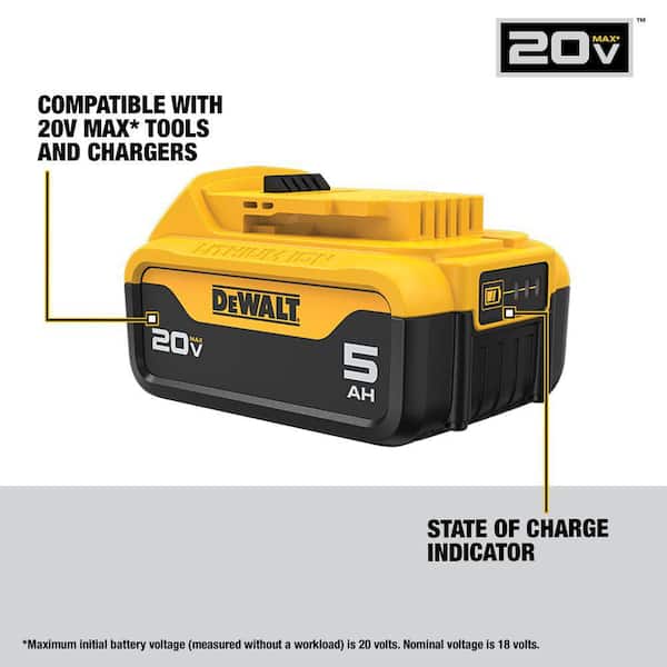20V MAX Lithium-Ion 5.0Ah Battery (2-Pack)
