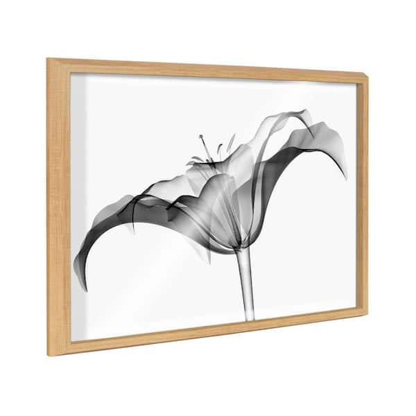 Kate and Laurel Blake Lily X Ray Floral BW by the Creative Bunch Studio Framed Glass Art Print 18 in. x 24 in.