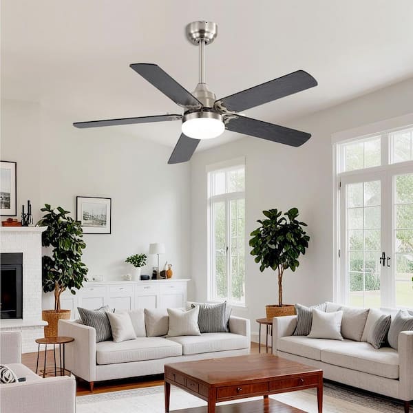 TaiMei Seren 42 in. Standard Nickel Ceiling Fan with Integrated LED and Remote Downrod Mount DC Motor with 5 Two-Color Blades