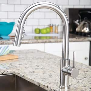 Neo Single-Handle Pull-Down Sprayer Kitchen Faucet in Stainless Steel