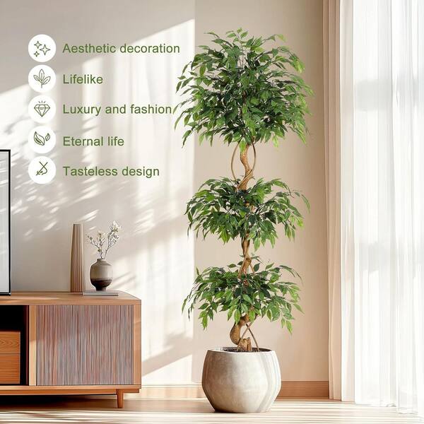 dracaena plant outside Dracaena Spike main image 0