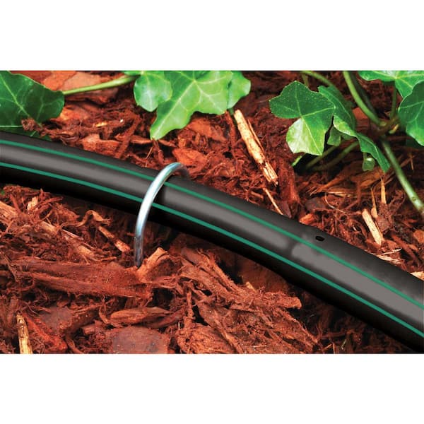 Rain Bird For 1/2 in. Tubing Drip Irrigation Tubing Stake 6 in. H 10 pk Rain Bird For 1/2 in. Tubing Drip Irrigation Tubing Stake 6 in. H 10 pk