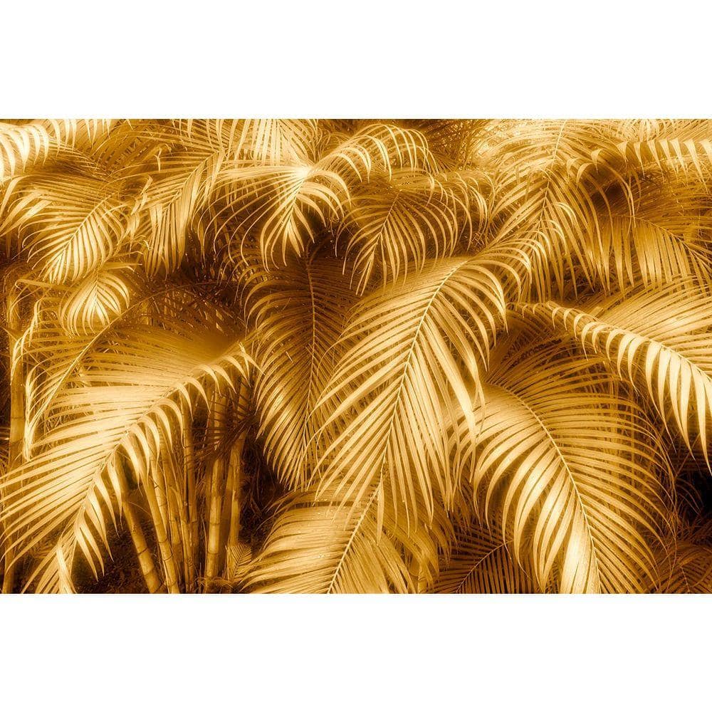 Golden Glow Tropical Ferns by Grotto Studios Unframed Graphic Print Poster Art Print 36 in. x 24 in. price history on PriceWatchPro