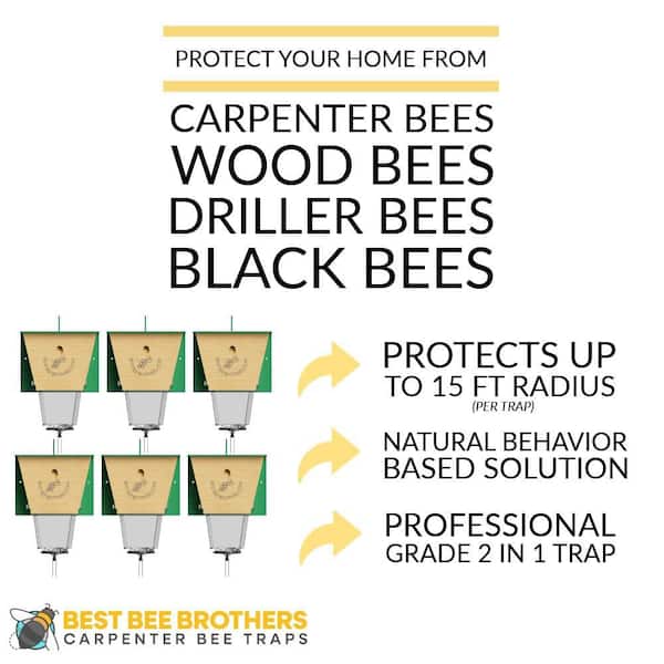 Ultimate Pro Carpenter Bee Trap with Bee Vault and Extra Large External Receptacle (6-Pack)