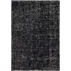 Monica Black/White 5 ft. x 8 ft. Indoor Area Rug