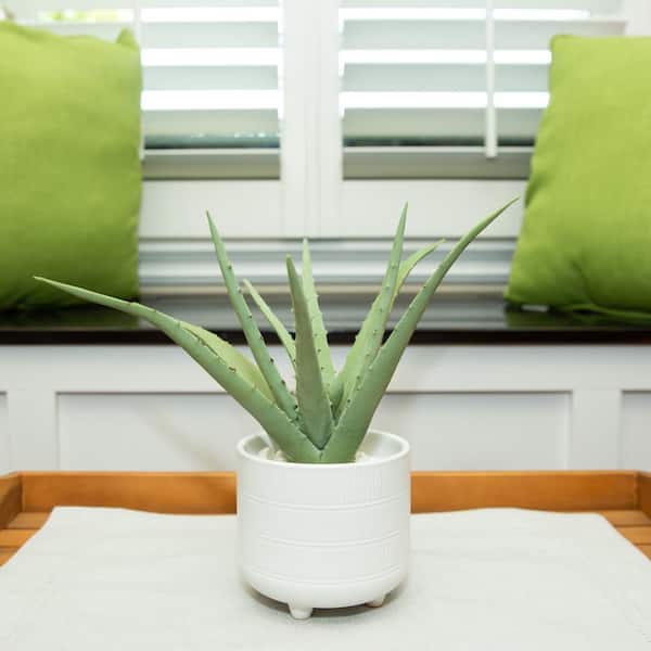 Flora Bunda 10 in. Artificial Artificial Aloe in 5 in. Artificial Barcode Footed Ceramic Pot