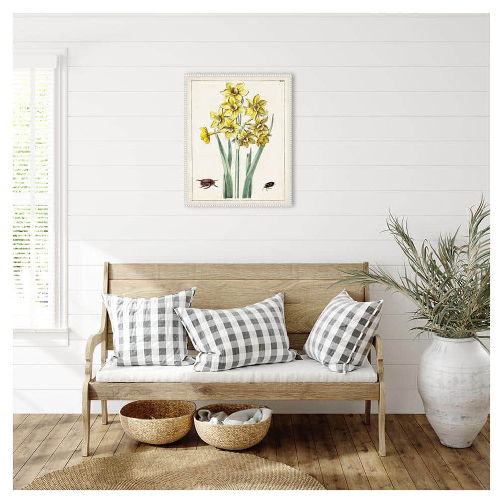 Dutch Florals III Yellow Daffodils Canvas Print with White Frame