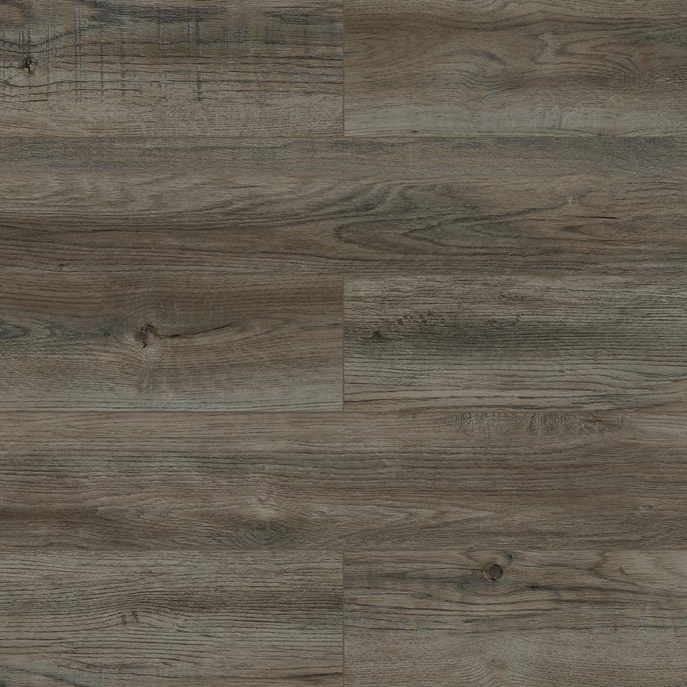 Take Home Sample Classic Tree Waterproof Hybrid Resilient Flooring price history on PriceWatchPro