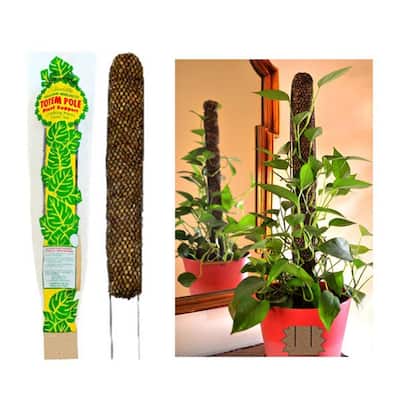 Garden flower bamboo sticks 16" supporting planting 3mm,200pcs 40cm 