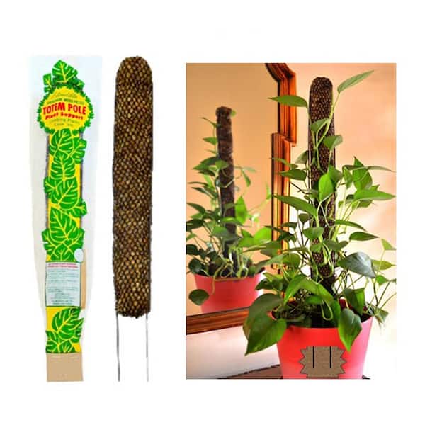 Moss Totem Pole Plant Extension Climbing Support Creeper for Potted Plants 