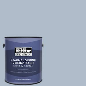 1 gal. #PPU15-16 Simply Blue Ceiling Flat Interior Paint with Primer