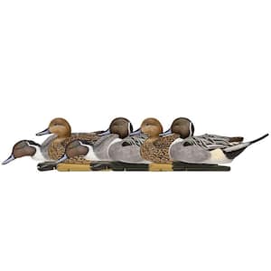 Topflight Pintails, Realistic Floating Decoys, Set of 6, Multicolor