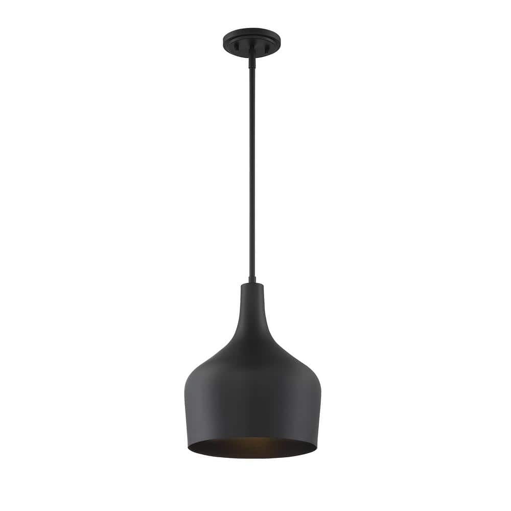 10.5 in. W x 14 in. H 1-Light Matte Black Pendant Light with Contemporary Metal Shade price history on PriceWatchPro
