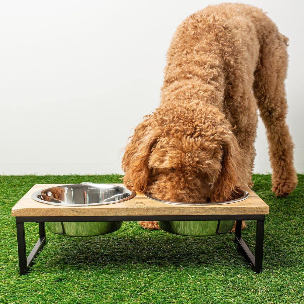 Large Mango Wood and Stainless Steel Elevated Pet Feeder