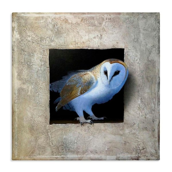 Mysterious Barn Owl Peering by Alan Weston Unframed Graphic Art Print Animal 24 in. x 24 in.