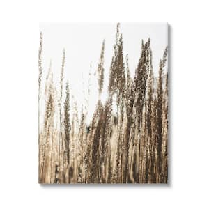 Light Ray though Wheat Field Design By Susan Ball Unframed Nature Art Print 20 in. x 16 in.