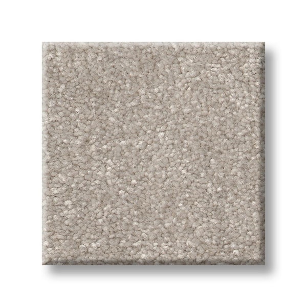 Lifeproof 8 in. x 8 in. Texture Carpet Sample - Blakely III -Color Beluga