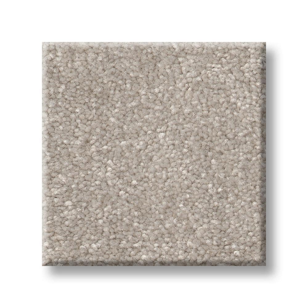 8 in. x 8 in. Texture Carpet Sample - Blakely II -Color Beluga price history on PriceWatchPro