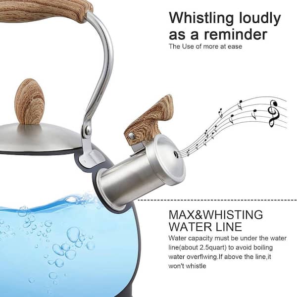 Stainless Steel Whistling Tea Kettle Boil Water Quickly And - Temu