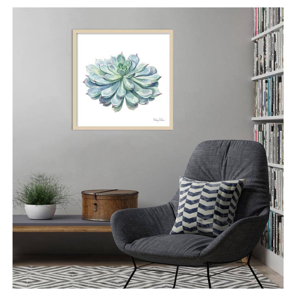 Blue-Green Succulent Watercolor 25"x25" Wood Framed Wall Art