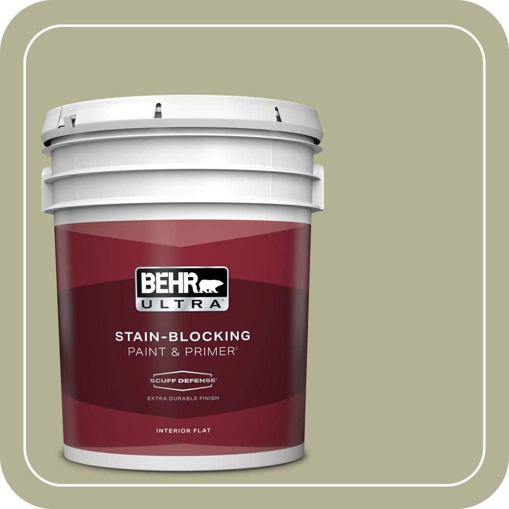 5 gal. #PPU9-20 Dill Seed Extra Durable Flat Interior Paint & Primer price history on PriceWatchPro