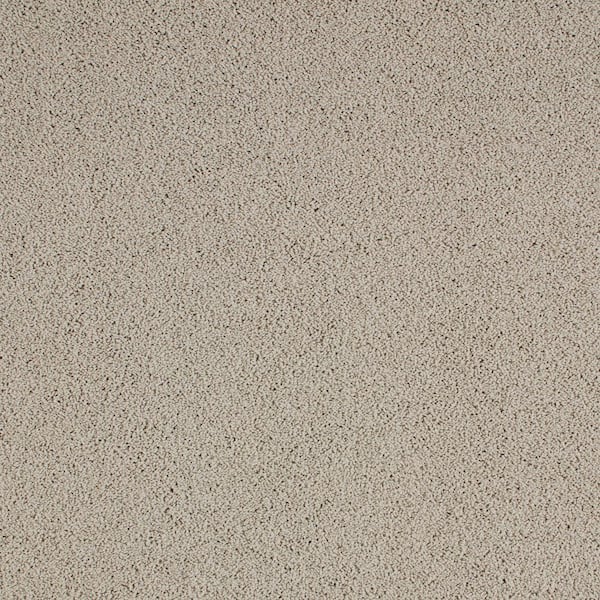Lifeproof with Petproof Technology Cleoford Spice Cake Beige 47 oz. Triexta Texture Installed Carpet