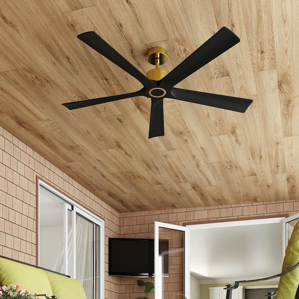 FUFU&GAGA 56 in. Indoor Outdoor Black Solid Wood 5-Blade Propeller Ceiling Fan with Remote Control,1/4/8 Hour Timing, Gold Housing
