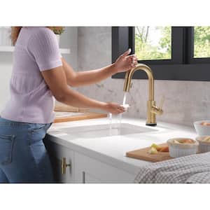 Trinsic Single-Handle Pull-Down Sprayer Bar Faucet Featuring Touch2O Technology in Champagne Bronze