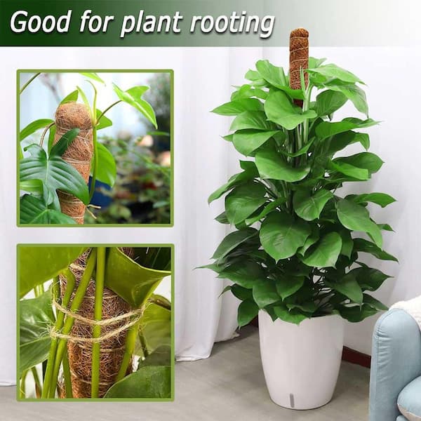 28 in. Bendable Moss Pole for Climbing Plants, 2-Pack OGSA11054