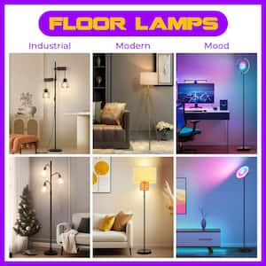 67 in. Black Arc Standing Floor Lamp Limited Low Price Clearance LED Mood Floor Lamp for Living Room Bedroom