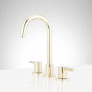 Lexia 8 in. Widespread Double Handle Bathroom Faucet in Polished Brass