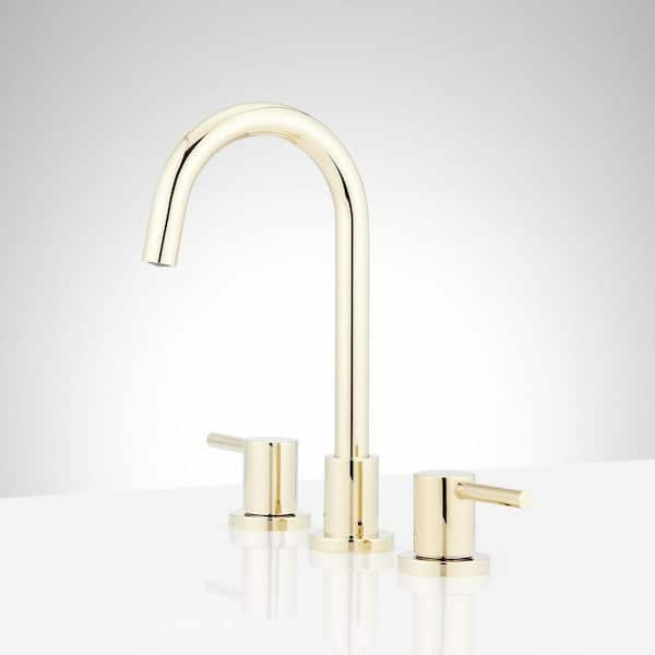 Lexia 8 in. Widespread Double Handle Bathroom Faucet in Polished Brass